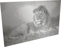 Pattern Style PS-006